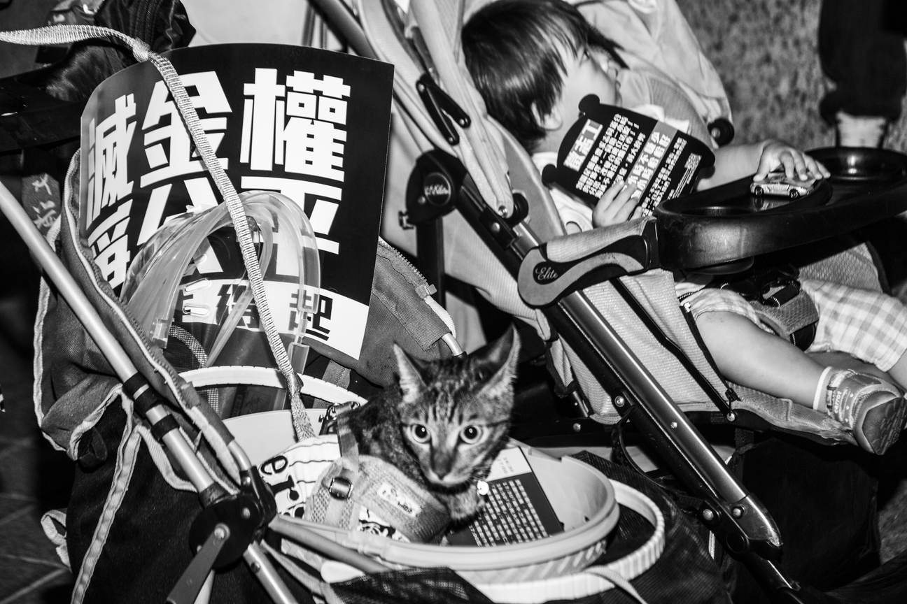 寶寶喵喵來嘩聲