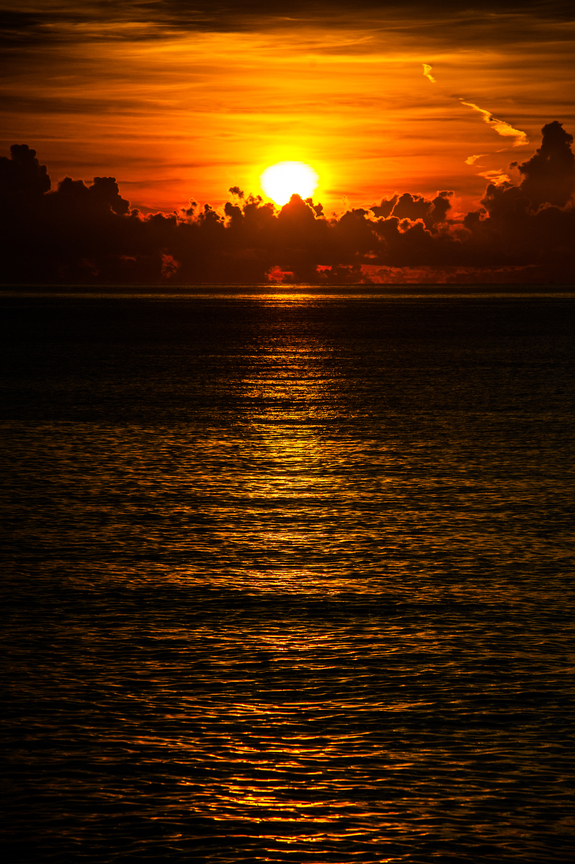 快門聲喚起了，晨