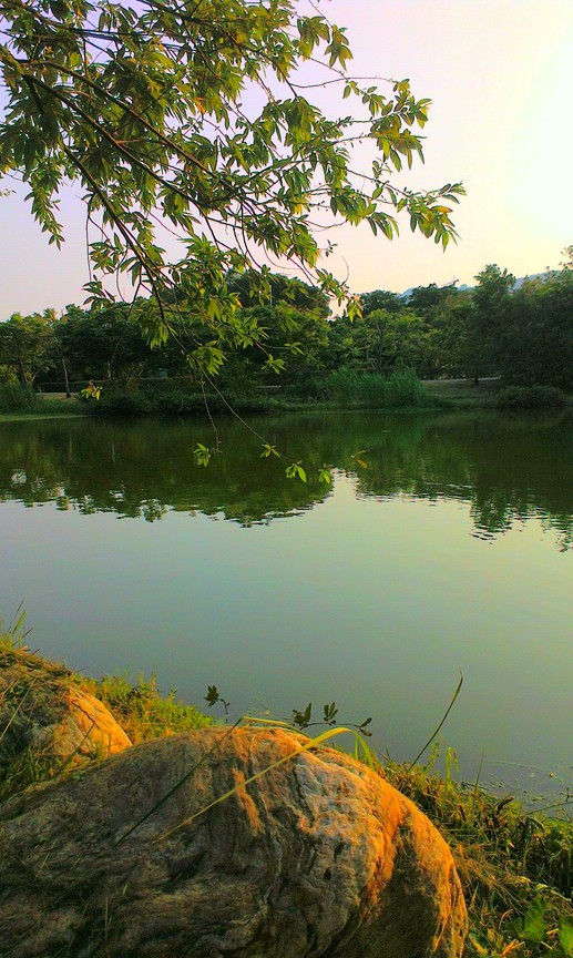 金色之光撒落的湖畔