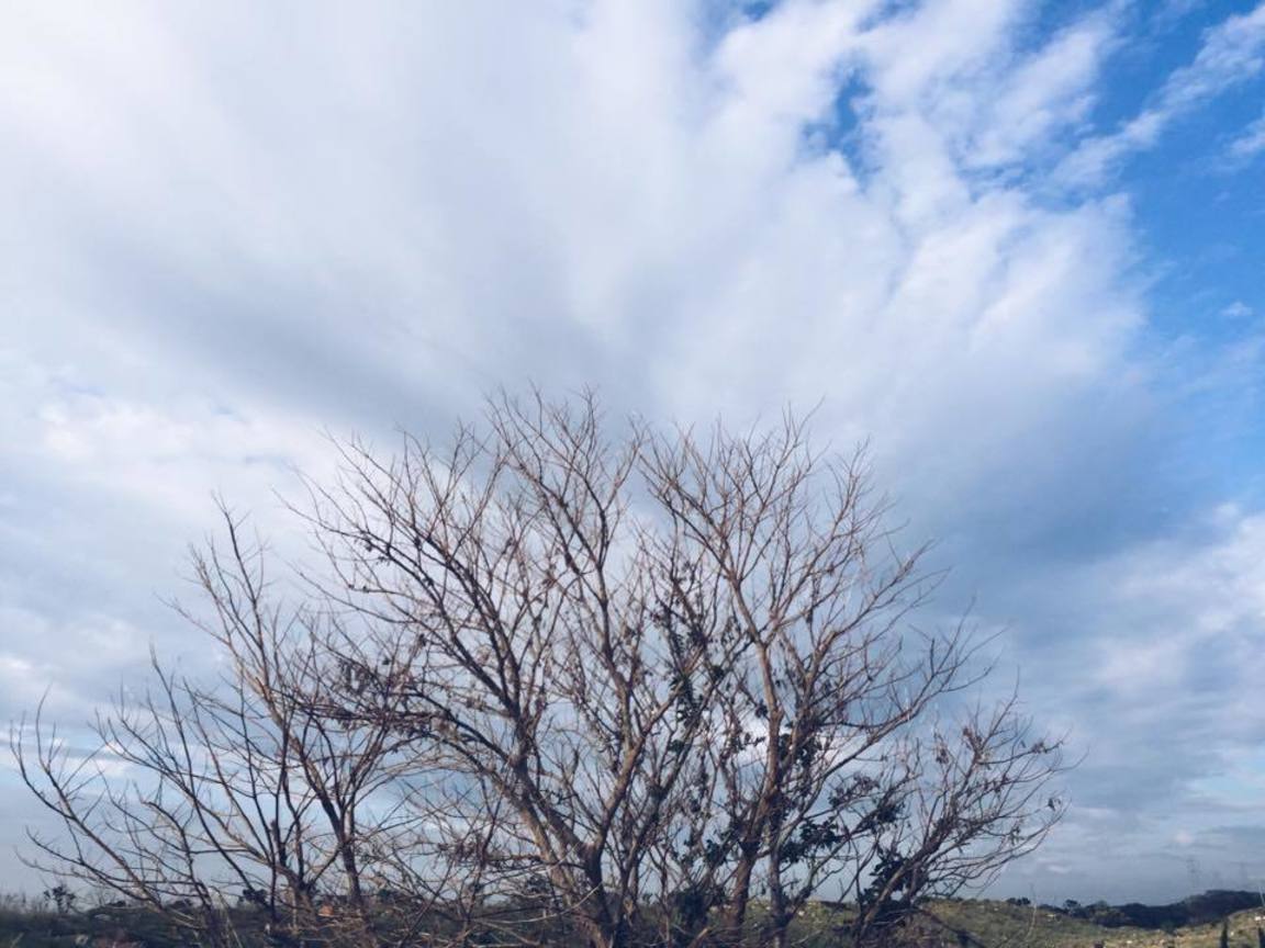 早安蔚藍的天空