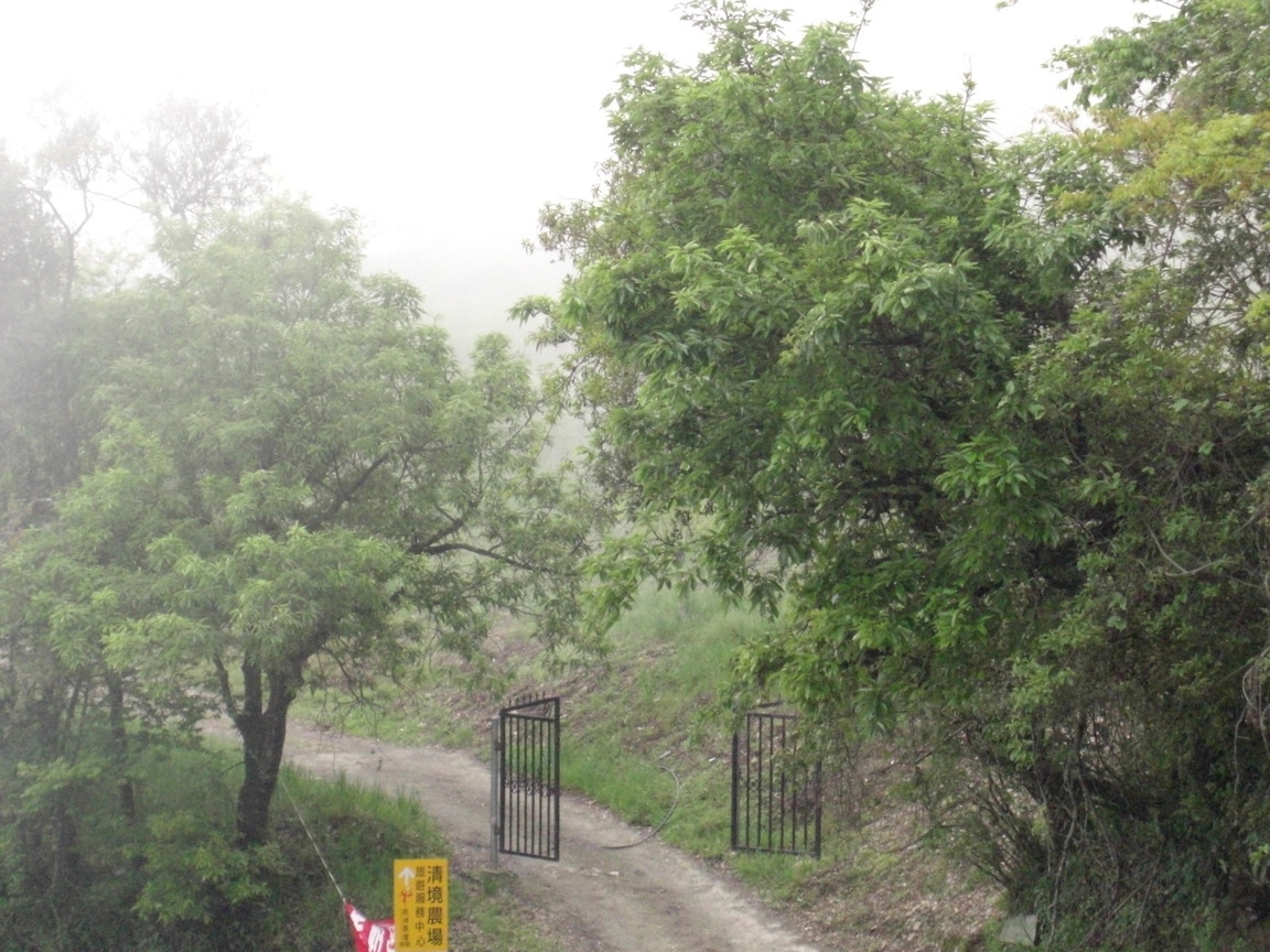 再現美麗島2007年數位�