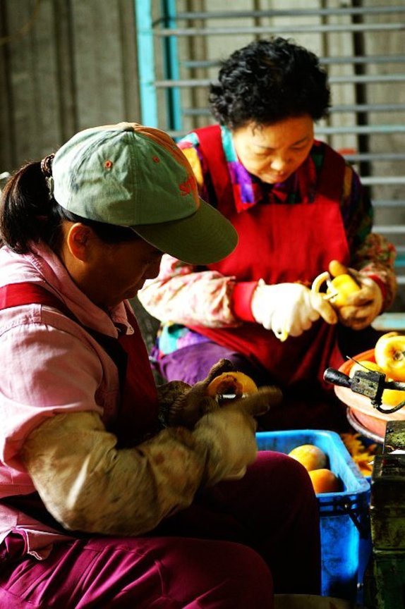 再現美麗島2007年數位�