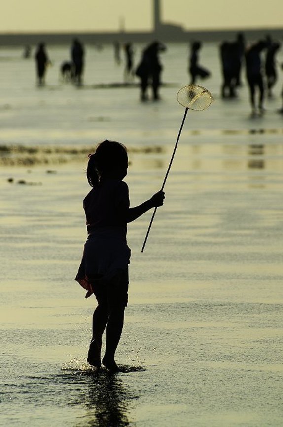 再現美麗島2007年數位�