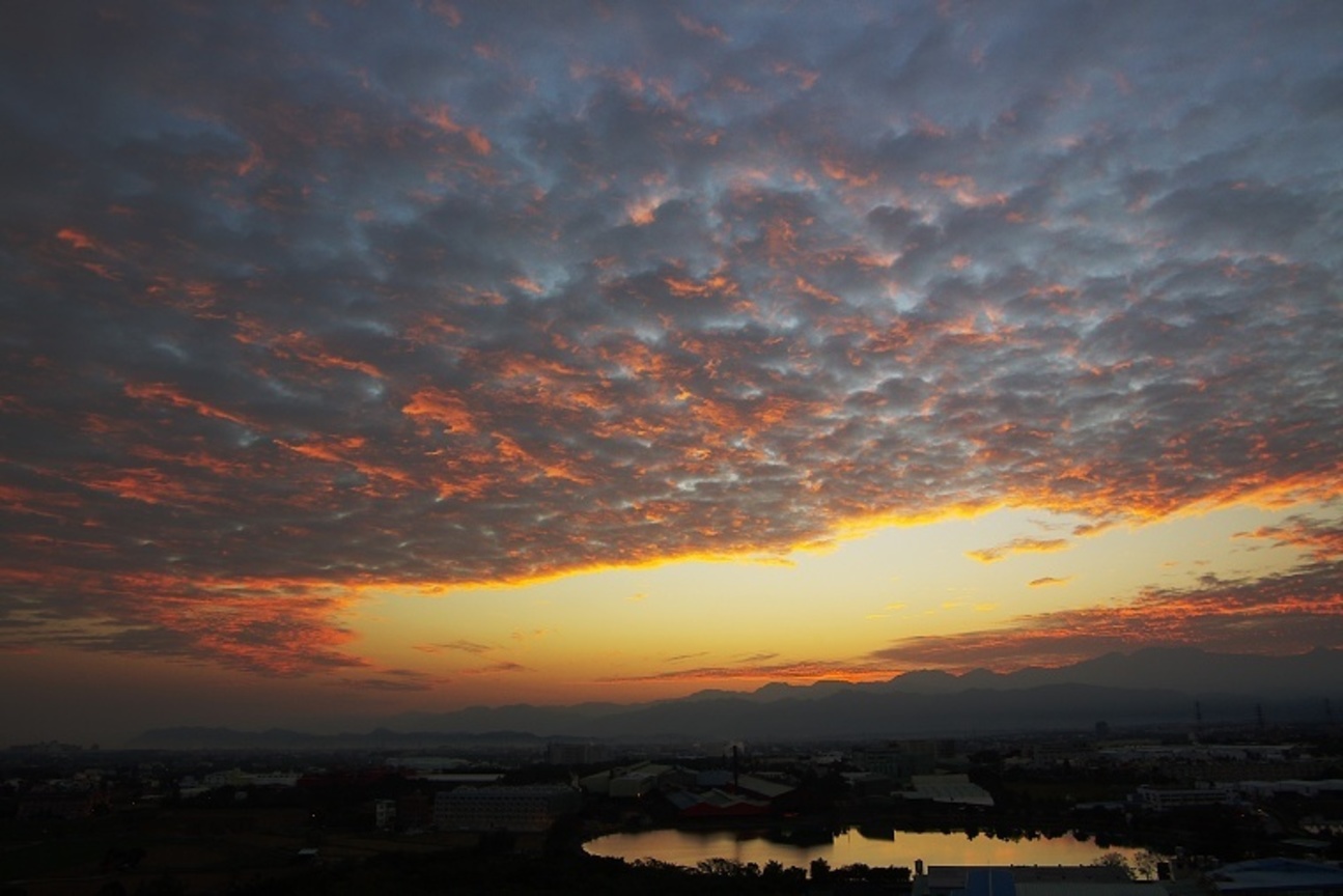 再現美麗島2007年數位�