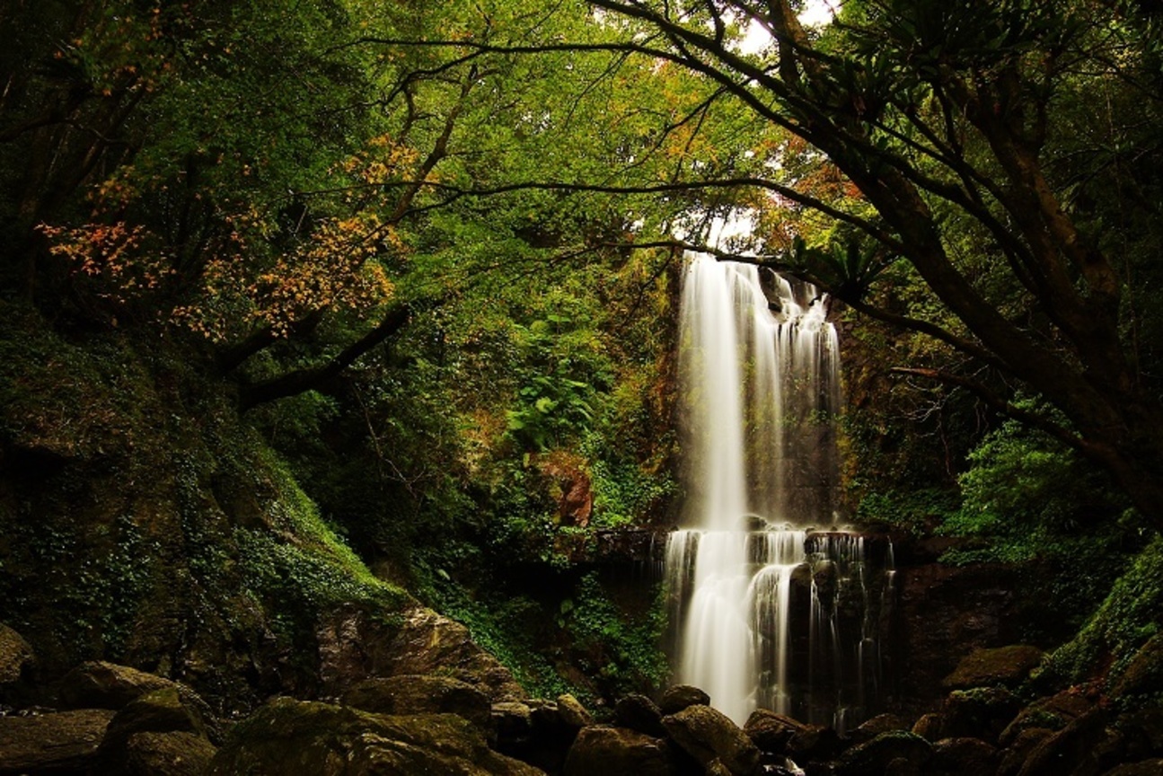 再現美麗島2007年數位島嶼