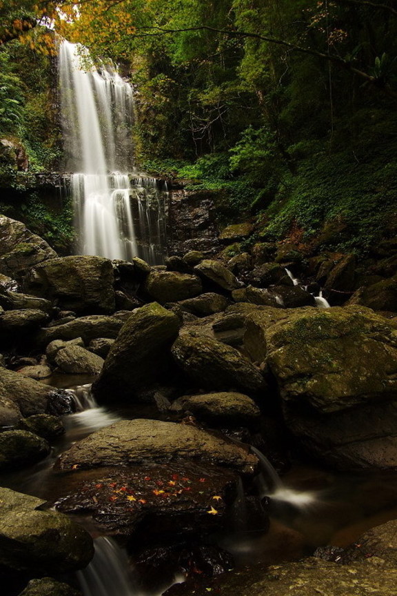 再現美麗島2007年數位島嶼