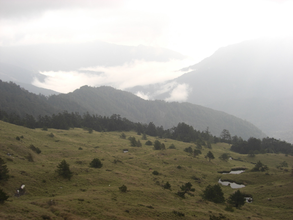 再現美麗島2007年數位�