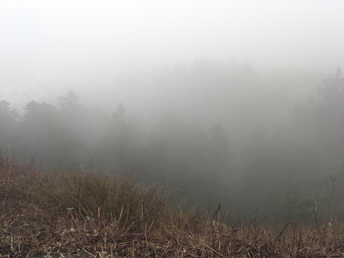 再現美麗島2007年數位�