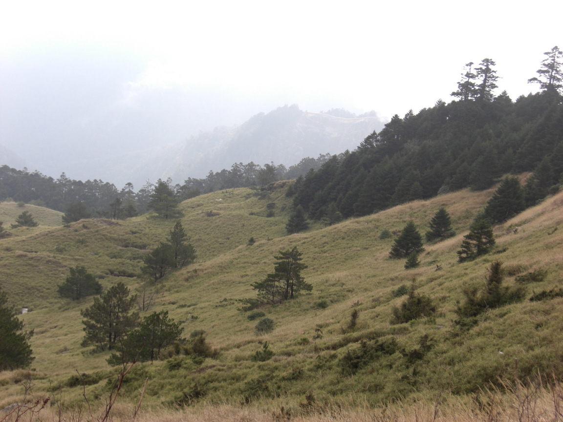 再現美麗島2007年數位�