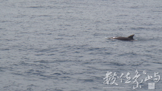 龜山島(會員聚落)
