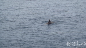 龜山島(不是會聚)2