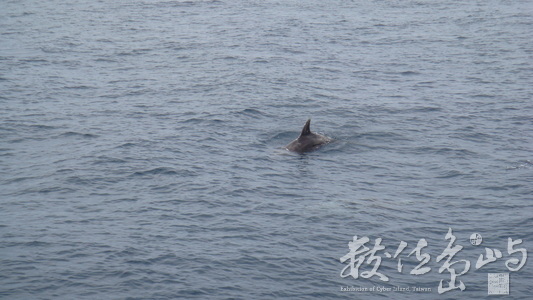 龜山島(不是會員聚落)