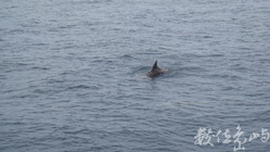 龜山島(不是會聚)2