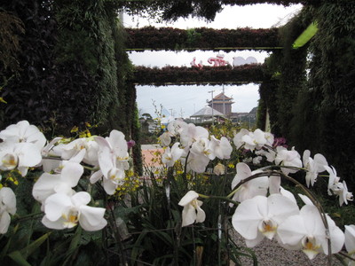 花博