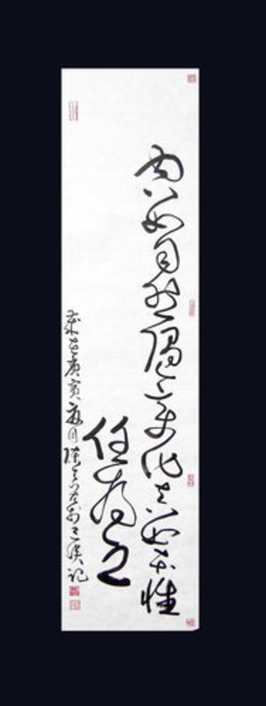 書法草書   古詩句     139x35cm    2010.5   宣紙   陳志宏書