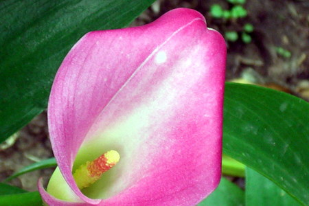 忍不住要按快門