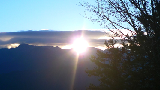 2009年1月1號阿里山日出遊