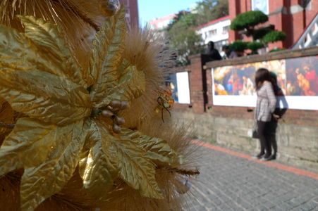 2009年1月3日淡水八里遊