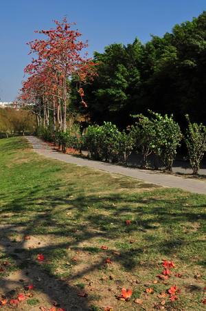 台南巴克禮公園_1