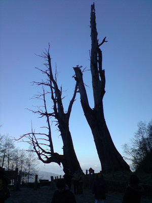 2009.03.01 丫里山之旅