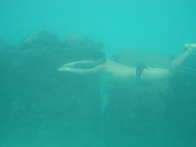 與您分享的生活與旅遊