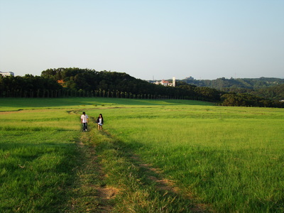 島嶼敘事 愛情盛宴