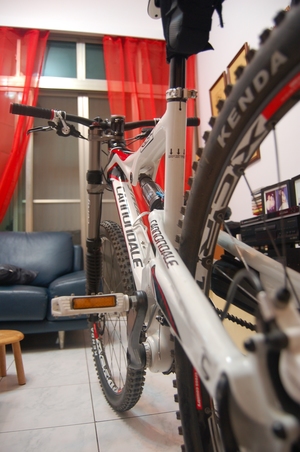 cannondale RUSH SL