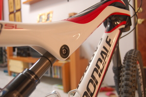 cannondale RUSH SL
