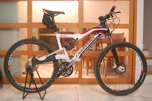 cannondale RUSH SL