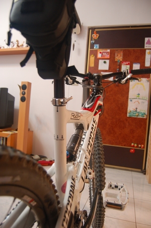 cannondale RUSH SL
