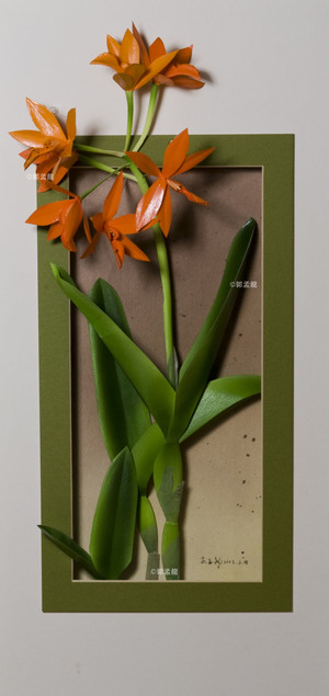 卡多麗雅蘭(二)