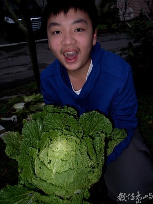 車庫菜園˙香山