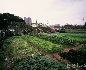 土城彈藥庫的農業再生