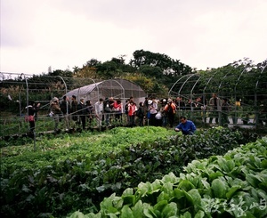 土城彈藥庫的農業再生