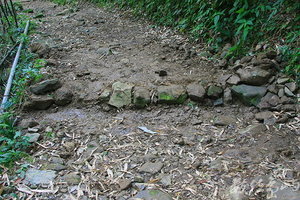 大凍山步道工作假期施作成果-截水溝