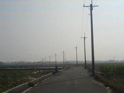 大洲