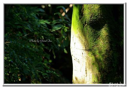 20100110~北縣土城