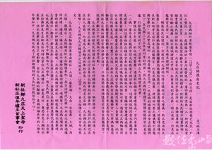 2009˙新社九庄媽