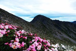 雪主、花海、北稜角