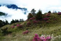 雨後的雪山湧雲