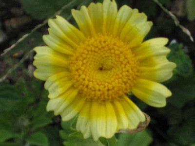 蘭嶼紀錄SINAJAVITONG