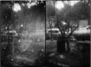 Grain and Frame  My Memory