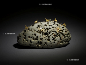 築巢  Building the Nest