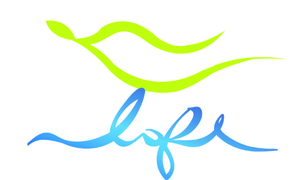 華冠百貨(LOFT)LOGOII