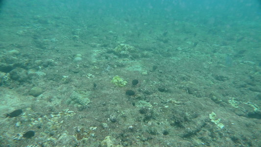 2009年5月28~31綠島台東遊