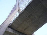 斜張橋下  巨大