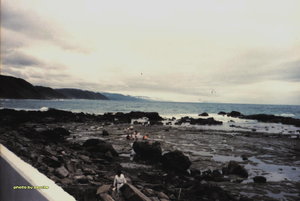 旭海草原旁公路