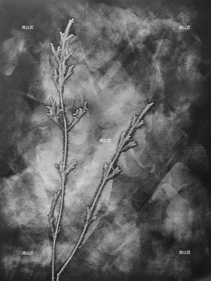 光度-繪畫體素系列