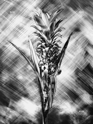 光度-繪畫體素系列