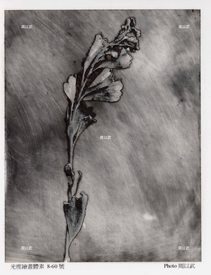 光度-繪畫體素系列